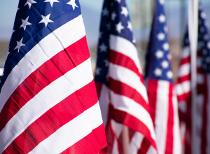 Veterans-Day-USA-Flags.jpg