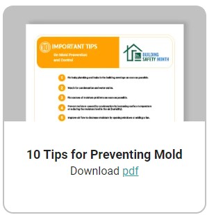 Mold Prevention Tips
