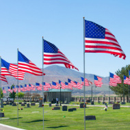 Cemetery decorated with flags